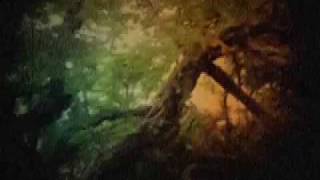 From The Roof Of Our House