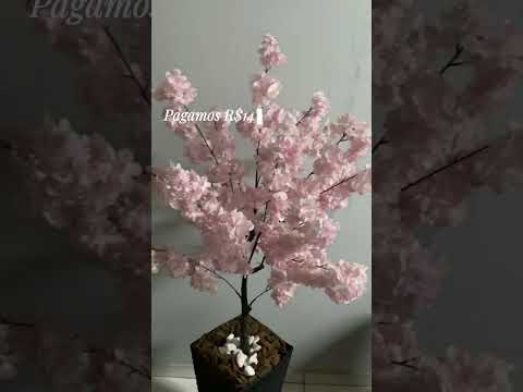 Pousada em iranduba, no Amazonas