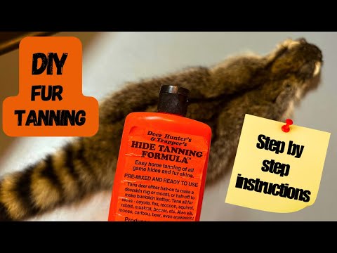 Tanning a Racoon Hide | DIY Step by Step Process