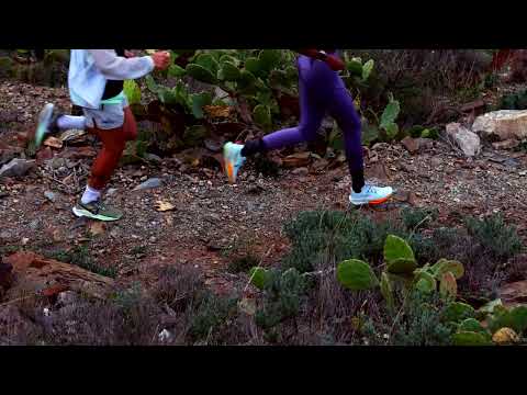 Nike Pegasus Trail 5