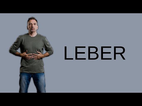 ORGAN BREATHING LIVER/BSPD ​​– Regenerate your liver