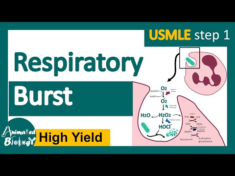 Respiratory Burst | Respiratory Burst Mechanism | What activates respiratory burst? |USMLE step 1