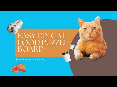 Jonah & his Homemade Food Puzzle Board| Easy DIY Food Enrichment for Cat Welfare
