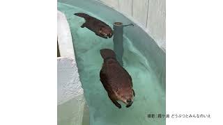 TOKYU Kasumigaura 260119