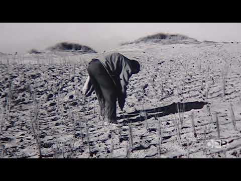 How a Desert Project Birthed Sci-Fi's Greatest Epic: The Surprising Origins of Dune