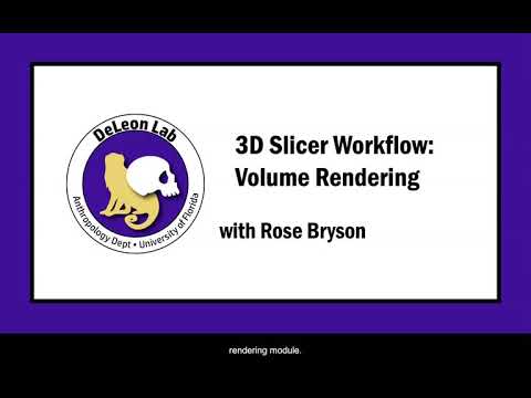 Volume Rendering   [3D Slicer Workflow]