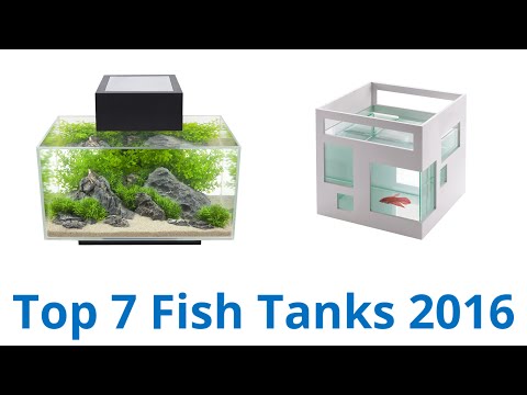 7 Best Fish Tanks 2016