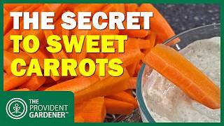 Secret to Sweeter Carrots: Winter Harvesting Tips Every Gardener Needs