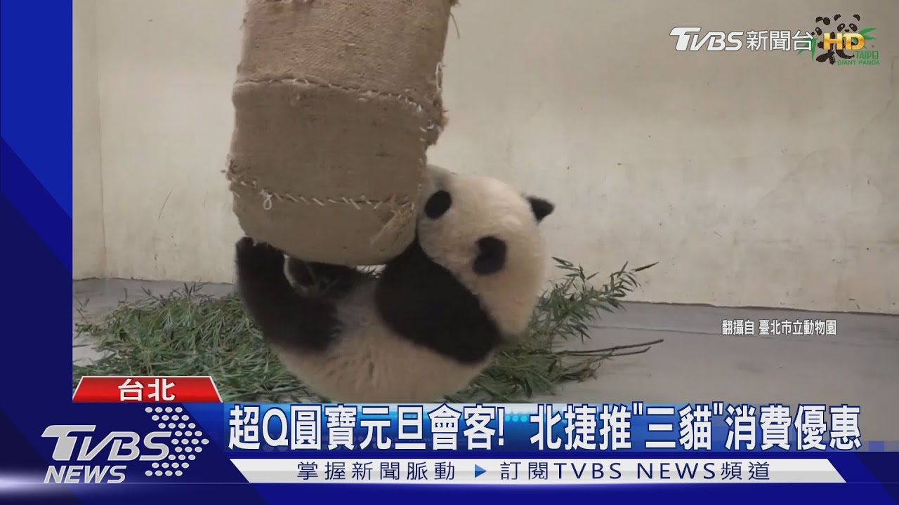 超Q圓寶元旦會客! 北捷推「三貓」消費優惠