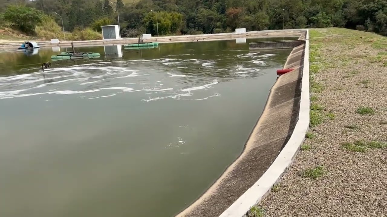 Visão geral de uma lagoa aerada e seu efluente final (Overview of an aerated lagoon)