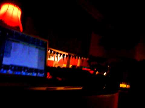 Dub Fi Youth ft. Lidj I l.s. Afrikan Simba @ Royal Roots 2010 Belgium ! PT. 1.mov