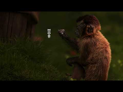 Hanna Hais - Trip To Olma (Main Mix)