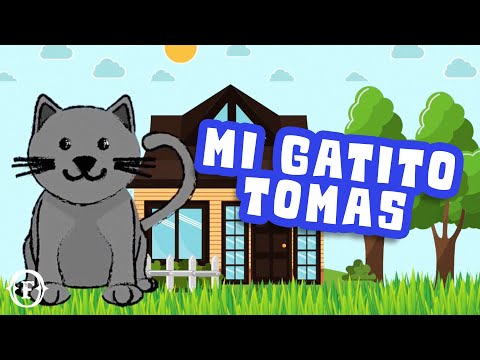 Mi Gatito Tomás😺📖 Canciones Infantiles Cristianas 💞 Música Para Niños