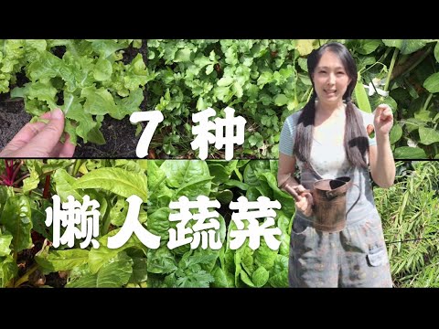 , title : '【菜园子10】7種懶人蔬菜--種菜必备的几种菜 | 7 easy grown vegetables | 逛菜园'