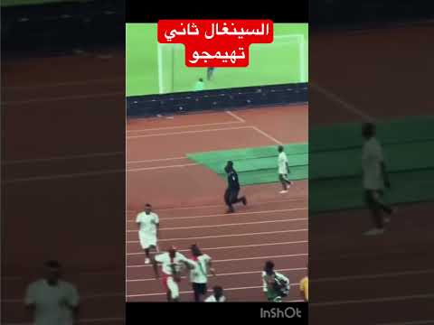 السينغال مرة اخرى اقتحموا الملعب وأحدثو فوضى