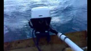 preview picture of video '1968 Johnson Seahorse 6hp'