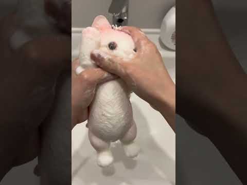 How to clean your taba squishy#taba #squishy #cat #cutecat #statisfying #stressrelief #handmade #fyp