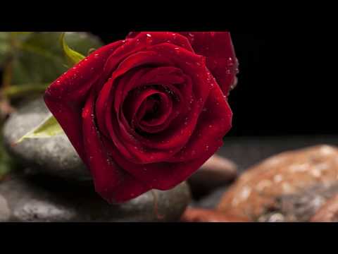 Grupul Iehova Nisi - Cu haina iubirii...