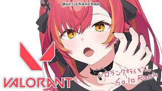 【VALORANT】ソロコンペ行くぞおおおお【ぶいすぽ / 猫汰つな】