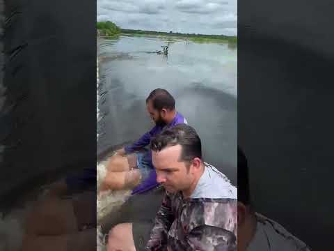 Messias Targino RN #barragem #agua #nordeste #chuvas #rn #sertão