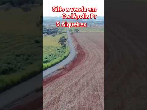 Sítio a venda em Carlópolis Pr, 5 Alqueires, excelente localização,        R$ 1 milhão por alqueire