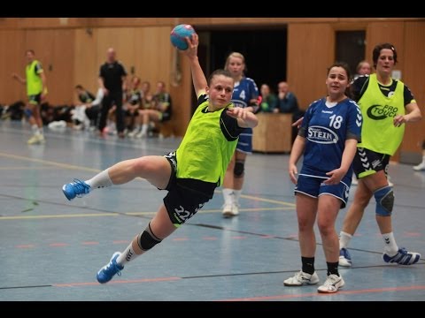 BOL Darmstadt: TuS Zwingenberg - HSG Dornheim/Groß-Gerau (26.01.2014)