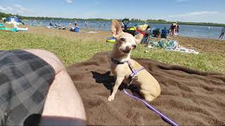 Pike Lake Beach at the Provincial Park