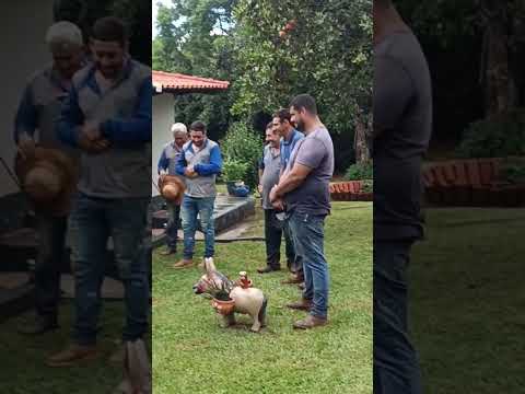 PASTORAL DA MORADIA DE GAMELEIRA GOIÁS.