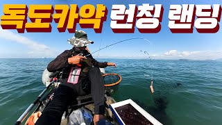 독도카약 갑오징어