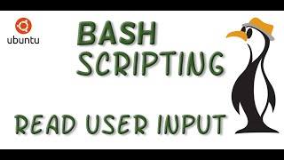 Gather User Input in BASH Scripts