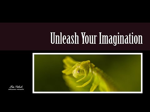 Unlock Your Artistic Vision: Mastering Abstract Photography