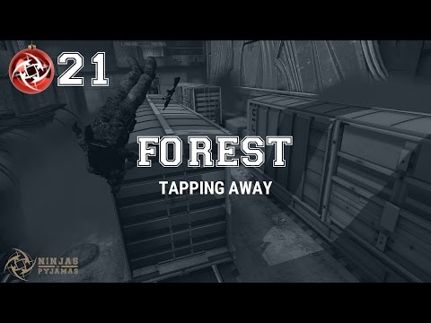 NiP f0rest - Tapping away