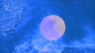 Vollenweider Andreas -Moon Dance