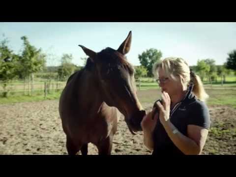 Was ist Losgelassenheit?