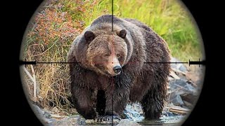 Re: [閒聊] 北海道登山客遭棕熊拖入山中下落不