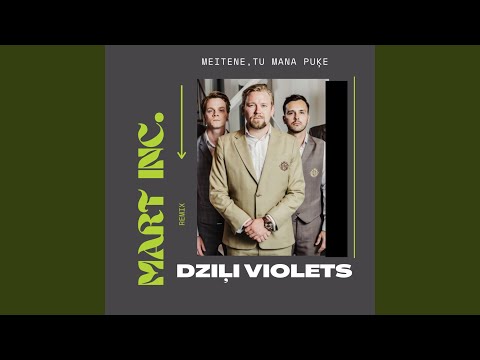 Meitene, Tu Mana Puķe (Mart Inc. Remix)