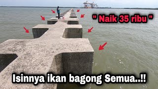 Download lagu GILA SPOT LAMA ISINYA IKAN BAGONG SEMUA || pltu kronjo dam merah mp3