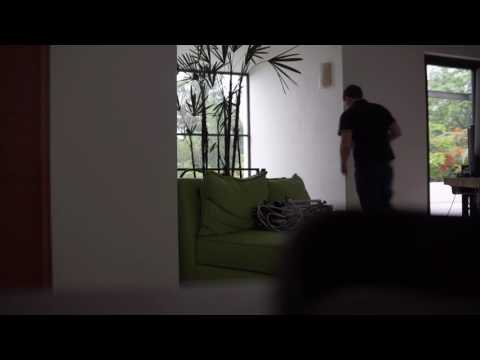 sineplex sineplex Live Stream