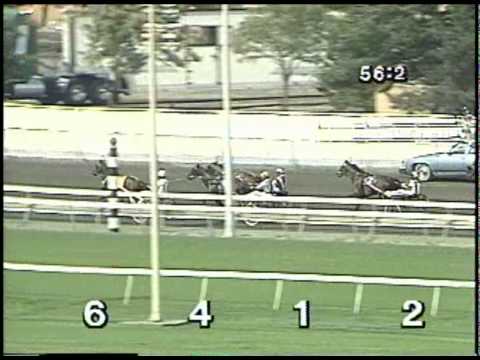 1990 Hambletonian
