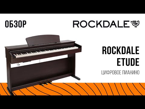 Обзор цифрового пианино Rockdale Etude