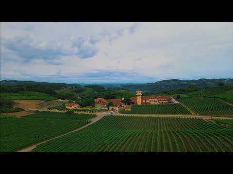 Vinícola Miolo - Miolo Winery -  Full video - 4K