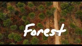 Mavic Air - Aerial view, Forest of Maria & Velez Rubio