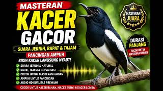 Download lagu 🔥 Masteran Kacer Pikat Mantap untuk Pancingan | Suara Jernih, Rapat & Gacor Juara mp3 Download lagu 🔥 Masteran Kacer Pikat Mantap untuk Pancingan | Suara Jernih, Rapat & Gacor Juara mp3