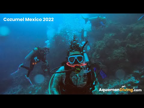 Cozumel Mexico August 2022