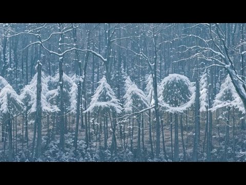 Pashur ft Foll - Las Noches Son Muchas (Álbum: Metanoia)