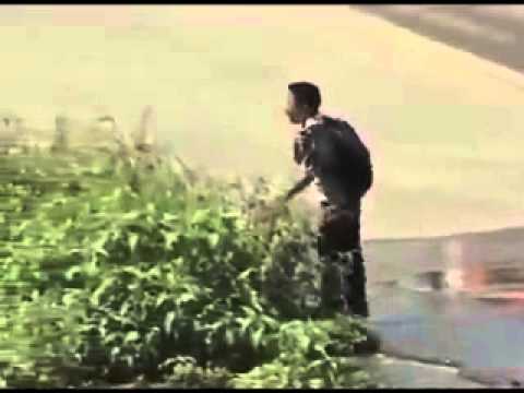 Ei coisinha deixa eu passar que eu sou estudante!!