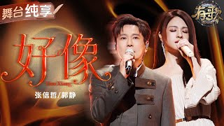 Download lagu 【纯享版】听完眼泪根本绷不住！张信哲郭静心碎合唱《好像》 直白歌词刻画爱情中的自我挣扎与求而不得的遗憾！ #有歌2 EP3 20260116 mp3