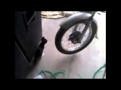 Funny and fail CATS compilation lolllzzzz