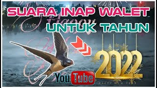 Download lagu Pakai Suara Inap walet Ini Terbaik Untuk Tahun 2022 SI AISYAH mp3