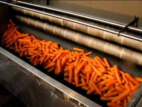 Машина очистительная для моркови ВОС 752-01